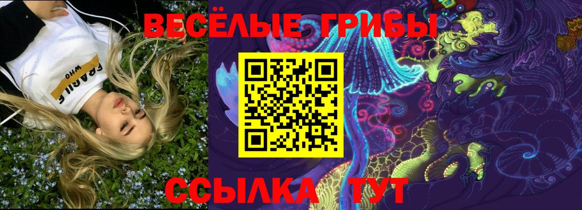 Галлюциногенные грибы GOLDEN TEACHER Ноябрьск